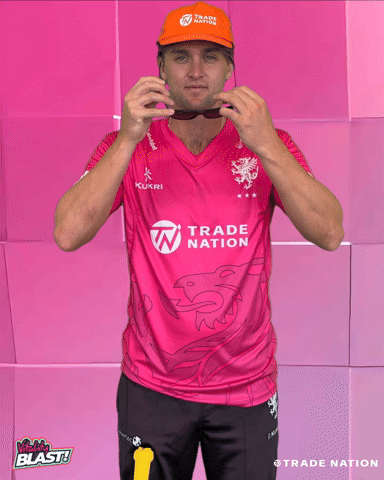 GIF by Somerset County Cricket Club