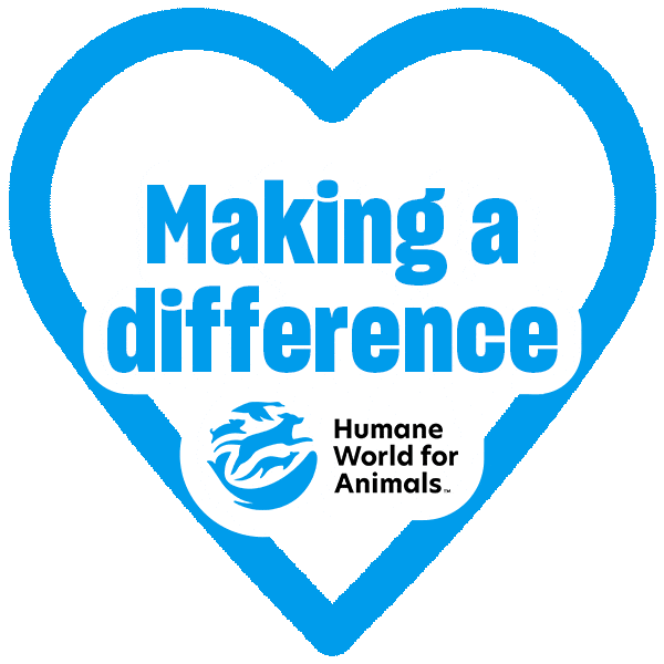 Expo Animalcare Sticker by Humane World for Animals