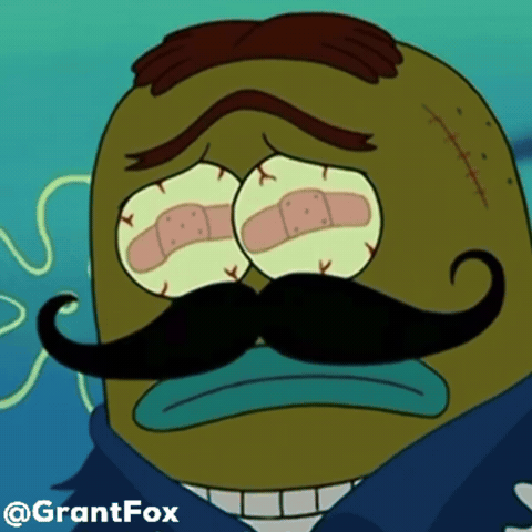 Spongebob Squarepants Wtf GIF