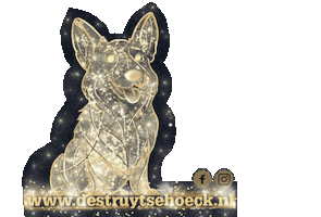 Evacapelloillustraties Sticker