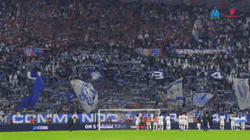 Fan GIF by Olympique de Marseille