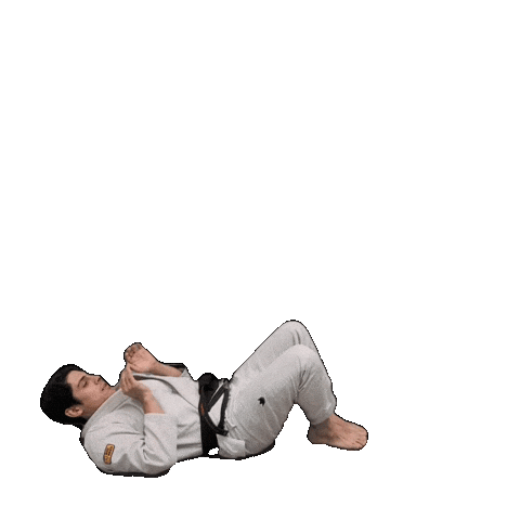 Bjj Jiujitsu Sticker by ghbrownsville