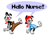 animaniacs hello nurse gif