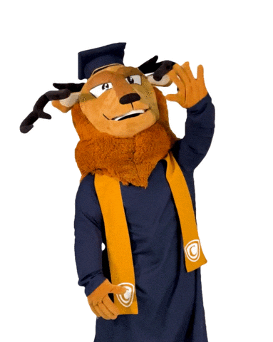 Merida Sticker by CERT