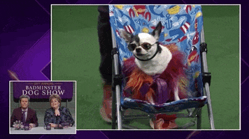Dog Show GIF by Saturday Night Live