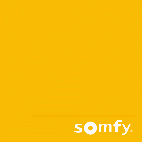 Connect Smarthome GIF by Somfy