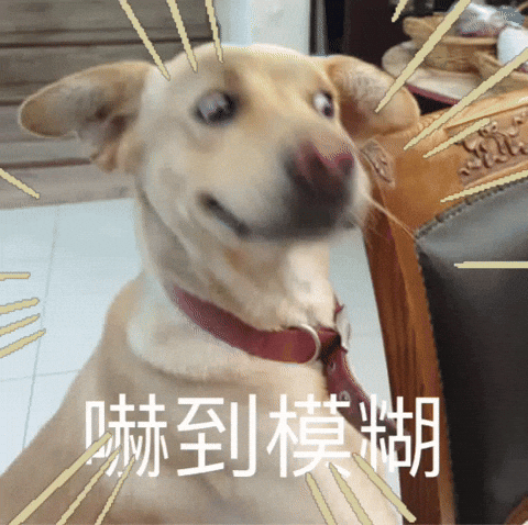 Marvis GIF