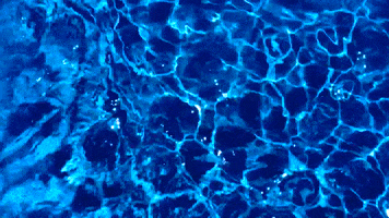 Mar Swimming Pool GIF by Casol