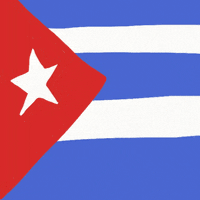 Cuban Flag Cuba GIF by Luis Ricardo