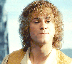 Lord Of The Rings GIF - Find & Share on GIPHY