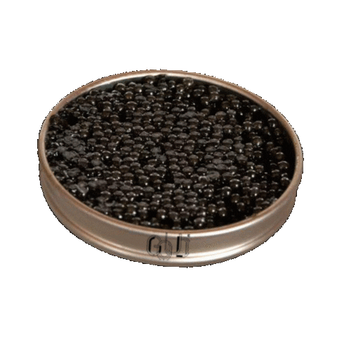 Rotterdam Sticker by Restaurant Goud