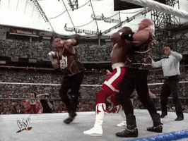Wrestlemania Viii Oops GIF by WWE