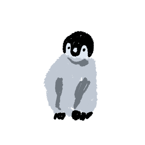 èé¤ penguin GIF by Studio Dyn