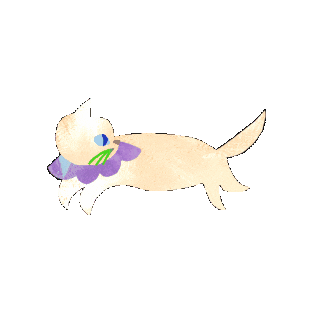 Cat Kitty Sticker