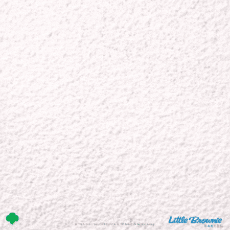 GIF by Little Brownie Bakers