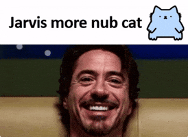 Cat Marvel GIF by sillynub