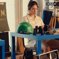 Serie Seventies GIF by CANAL+