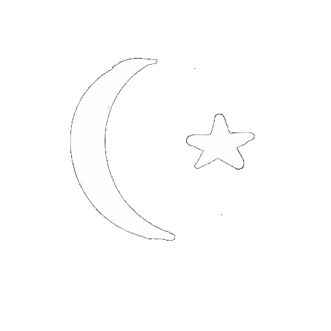 Star Sticker