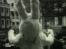 Donnie Darko Bunny GIF by Fries Film & Audio Archief
