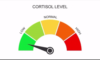 Cortisol Levels GIF