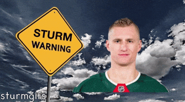 Minnesota Wild Hockey GIF
