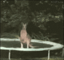 mate GIF