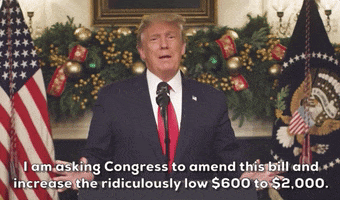 Donald Trump Stimulus GIF by GIPHY News