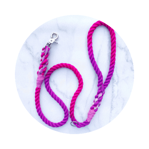 The Howling Zodiac Sticker