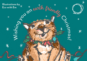 Christmas Wishes GIF by Biome Eco Stores