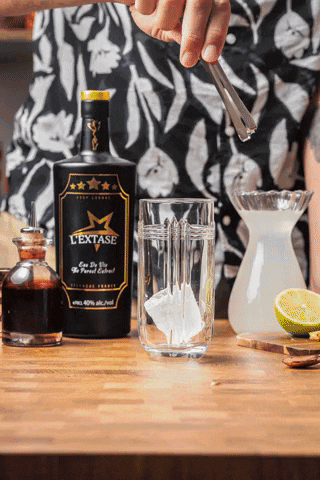 lextasecognac cocktails spirits brandy cognac GIF