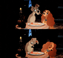 lady and the tramp GIF