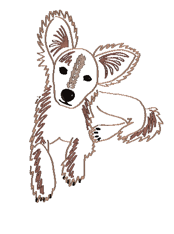 Domi’s Kitchen Factory Sticker