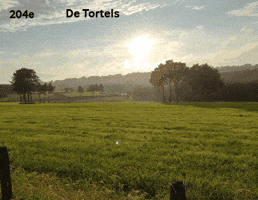 204E Fos De Tortels GIF