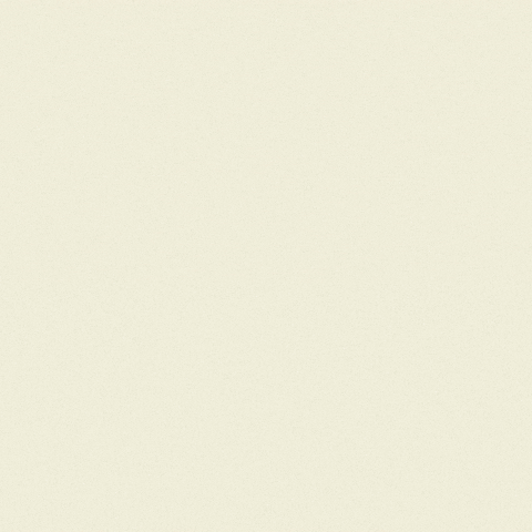 Cat Monster GIF by Catalina Infante