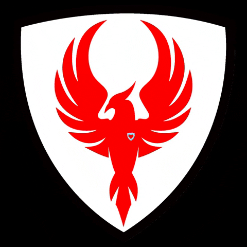 Rise Aquatic Club GIF