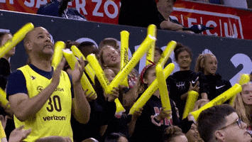 Excited Game Time GIF by WNBA