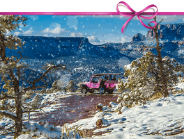 Pinkjeeptours Pinkjeep GIF