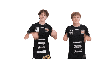 TV Birsfelden Sticker