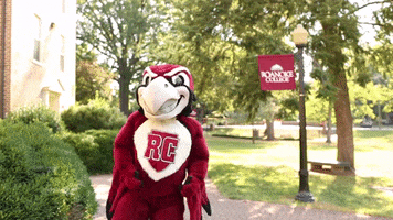 This Guy Rooney GIF by Roanoke College