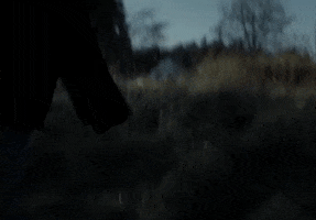 Run Away Music Video GIF by Mother Mother