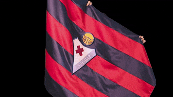 Bandera Futfem GIF by SD Eibar