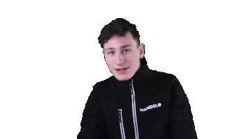 Mandelogifs Sticker by Lars Mandelo