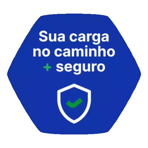 Brasis Seguros Sticker