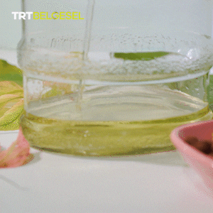Satisfying Olive Oil GIF by TRT