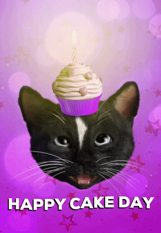 Happy Birthday GIF