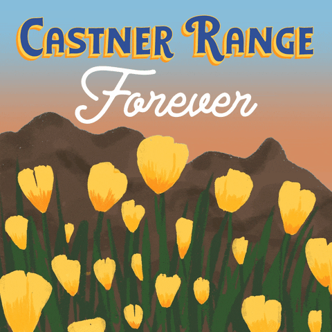 Digital art gifs. Cartoon yellow poppies open and close their petals gently, sitting peacefully in a field in front of a brown mountain range and an orange and blue sunset. Text, "Castner range forever."