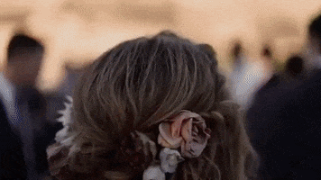 Northfern Wedding GIF
