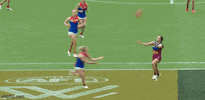 Aflw GIF