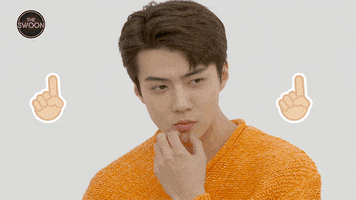 Netflix Exo GIF by The Swoon