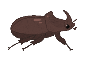 Bug Insect Sticker